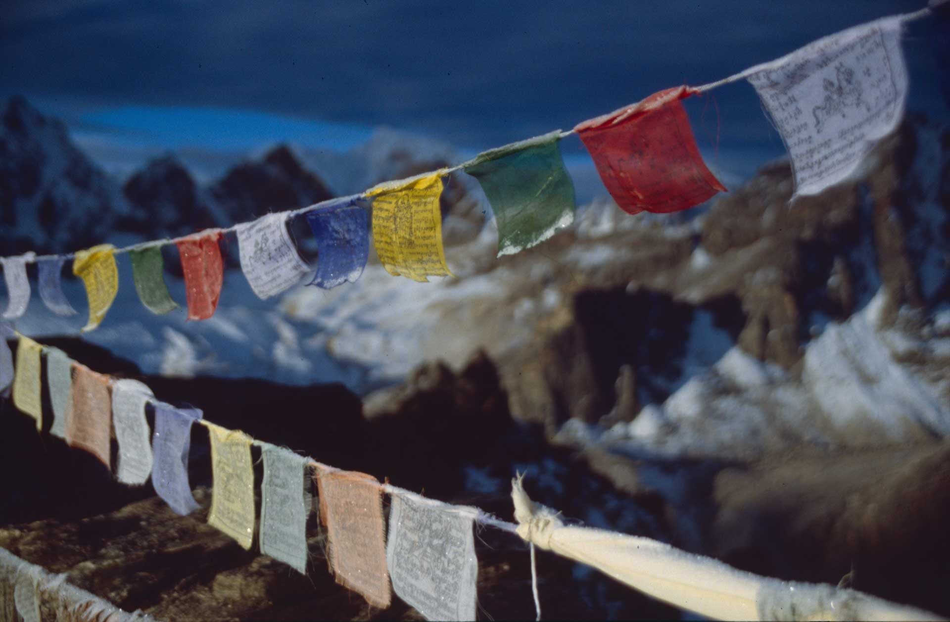 Prayer flags with Himalayan peaks in the background